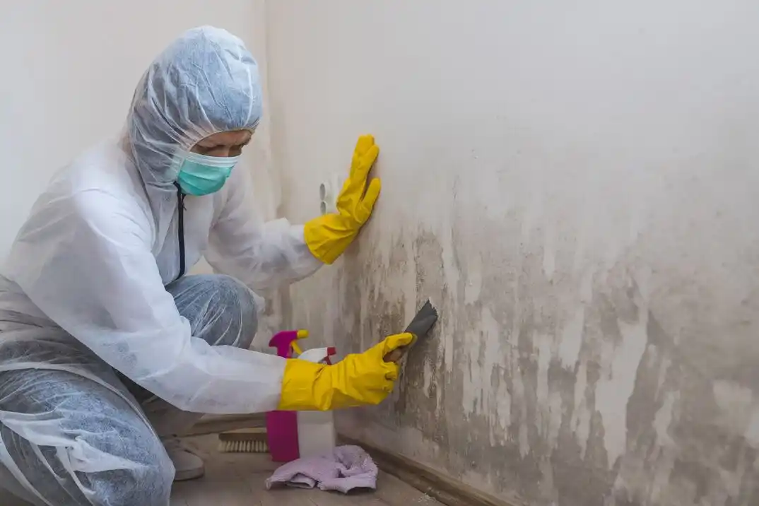 water damage restoration service Reservation